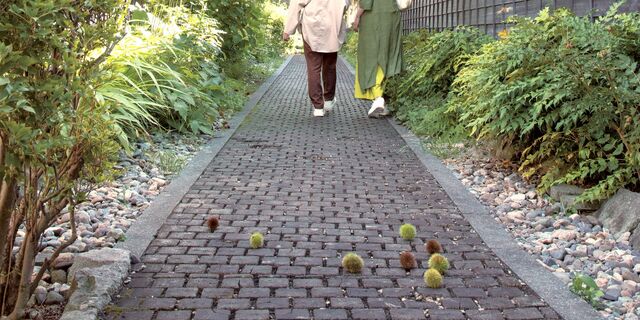 小さな町でゆったりと散策を楽しむ~長野県小布施町方面